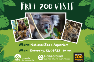 Zoo Visit